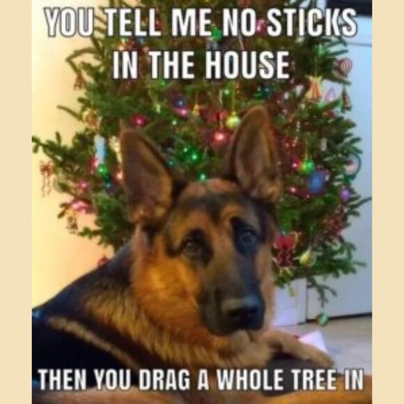 WED. 12/3/25 "JEWELRY & ACCESSORIES" or COLOR "SILVER" (Parties in 1st slide) - Picture 3 of 5